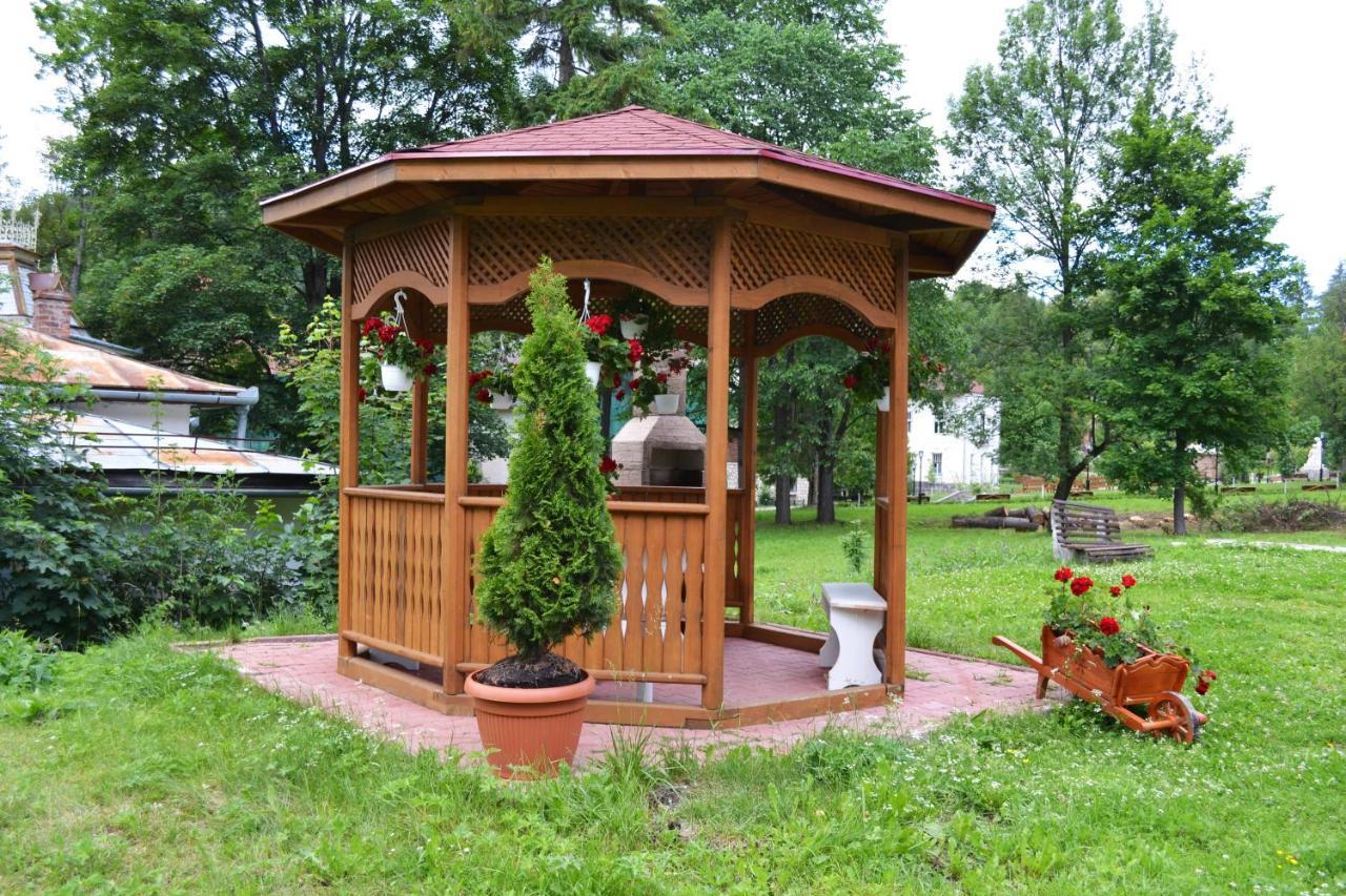 Pension Rose-Trandafirul Borsec Buitenkant foto