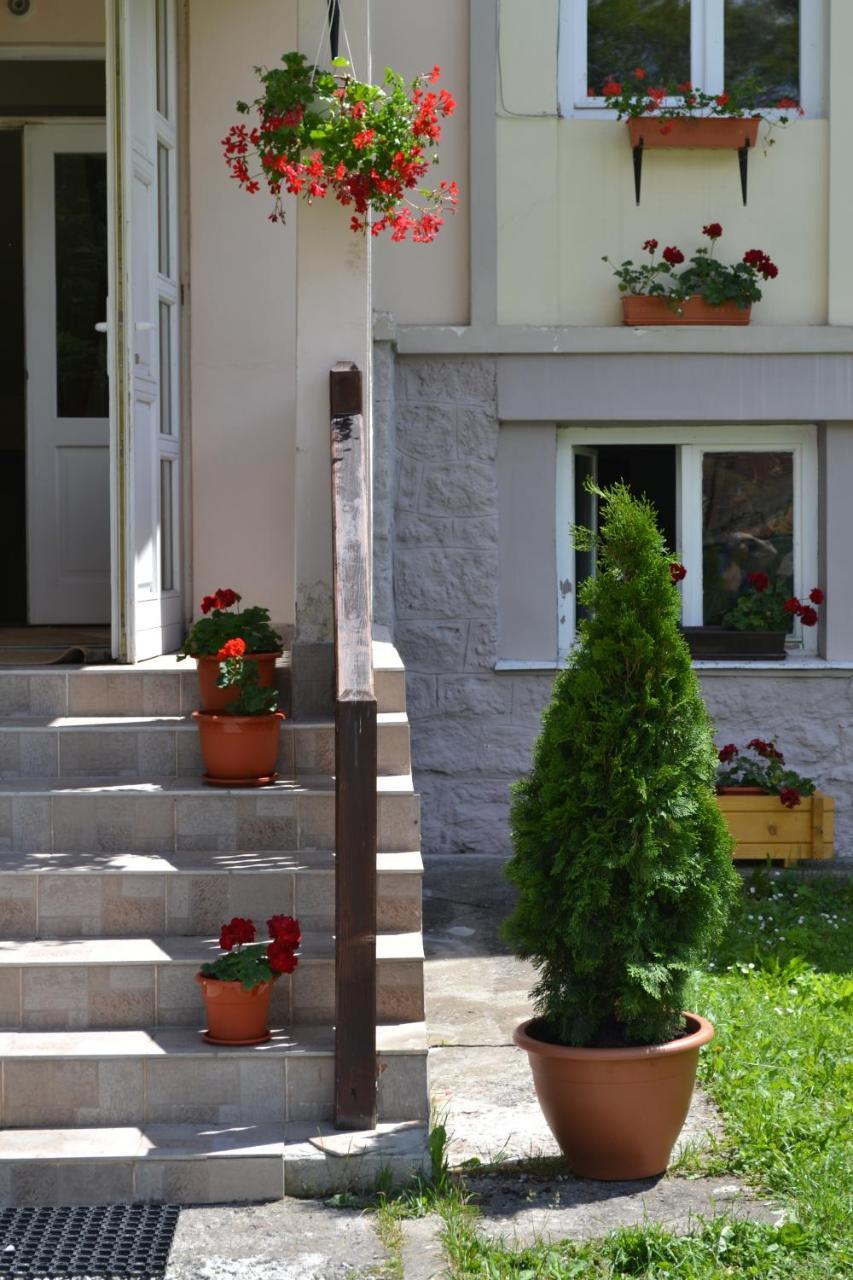 Pension Rose-Trandafirul Borsec Buitenkant foto