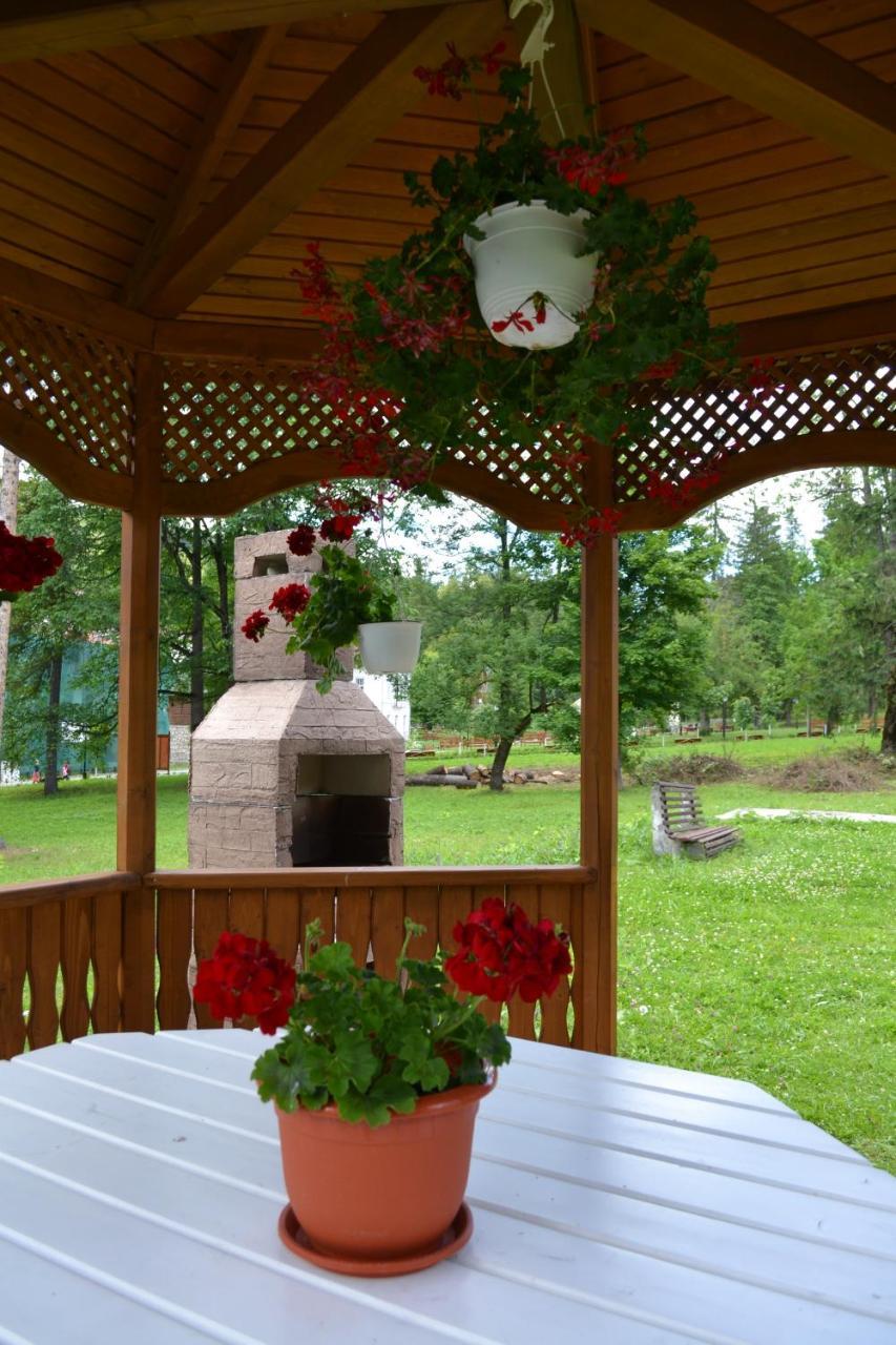 Pension Rose-Trandafirul Borsec Buitenkant foto