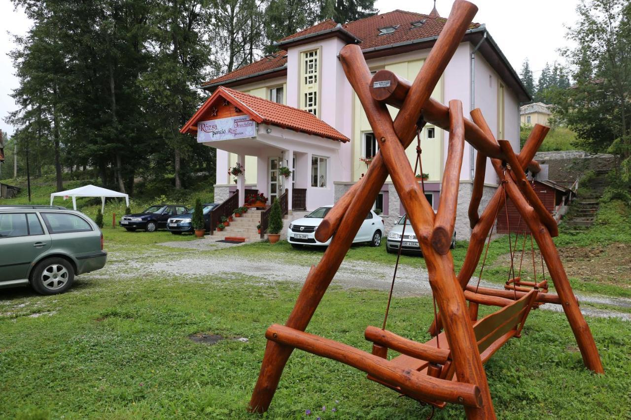 Pension Rose-Trandafirul Borsec Buitenkant foto