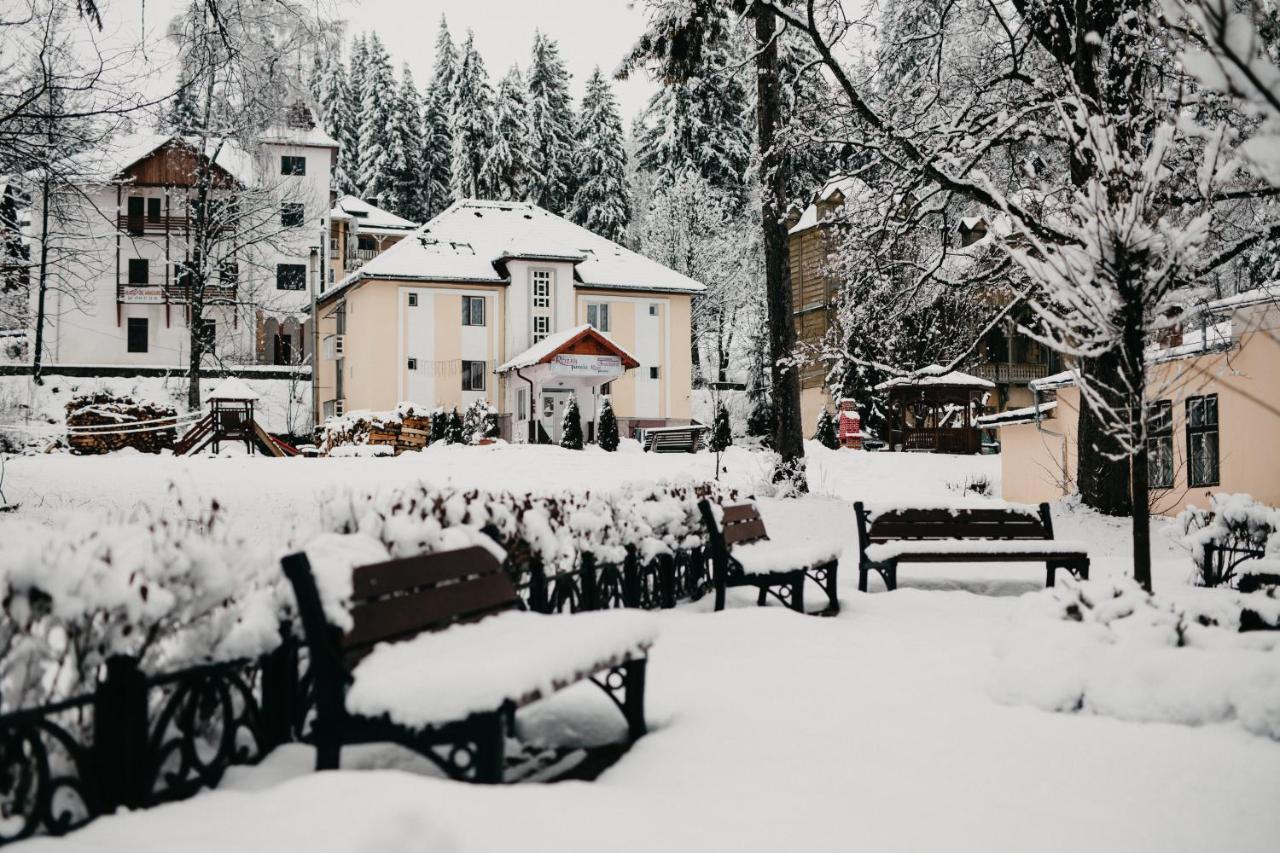Pension Rose-Trandafirul Borsec Buitenkant foto